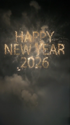 New year 2026 Reel